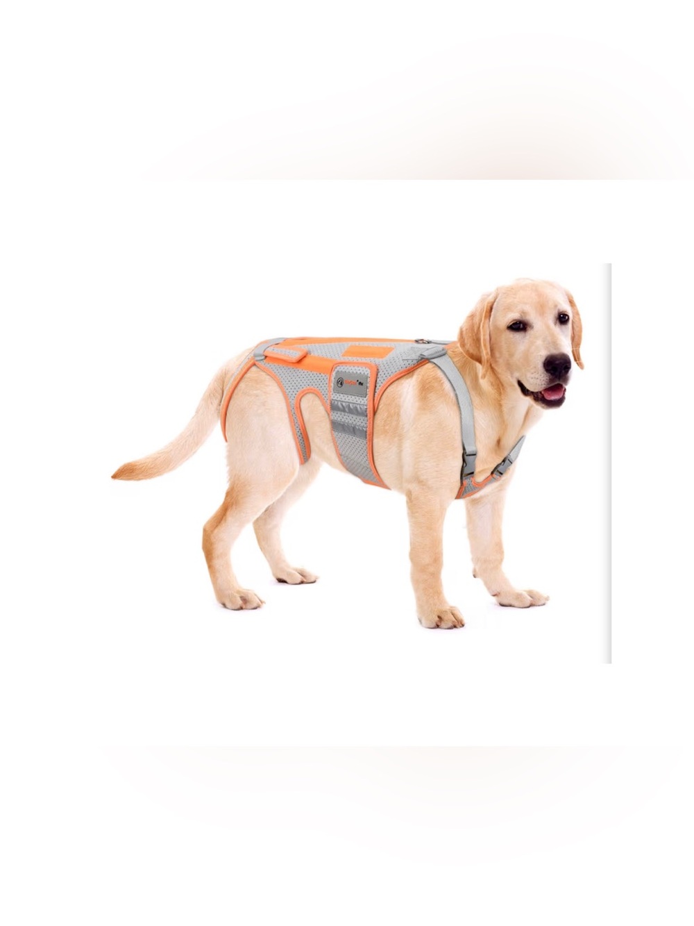 Reflective Gray & Orange Dog Harness by